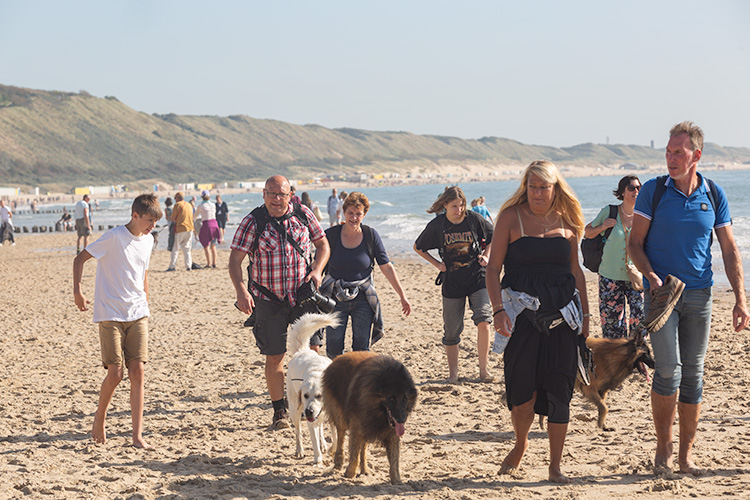 Wandeling Zoutelanden